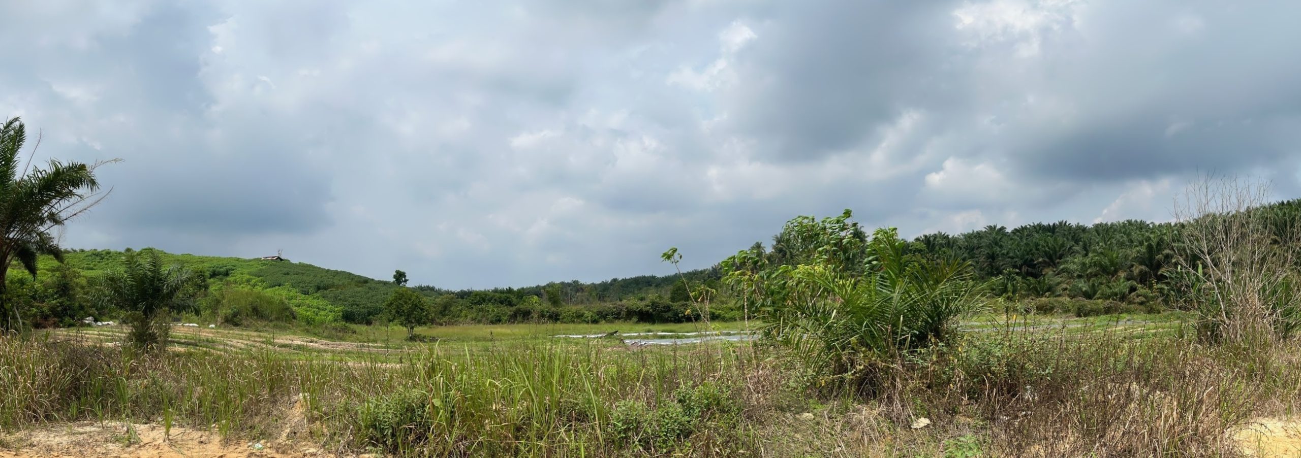Kondisi Aktual Geomorfologi Daerah Penelitian